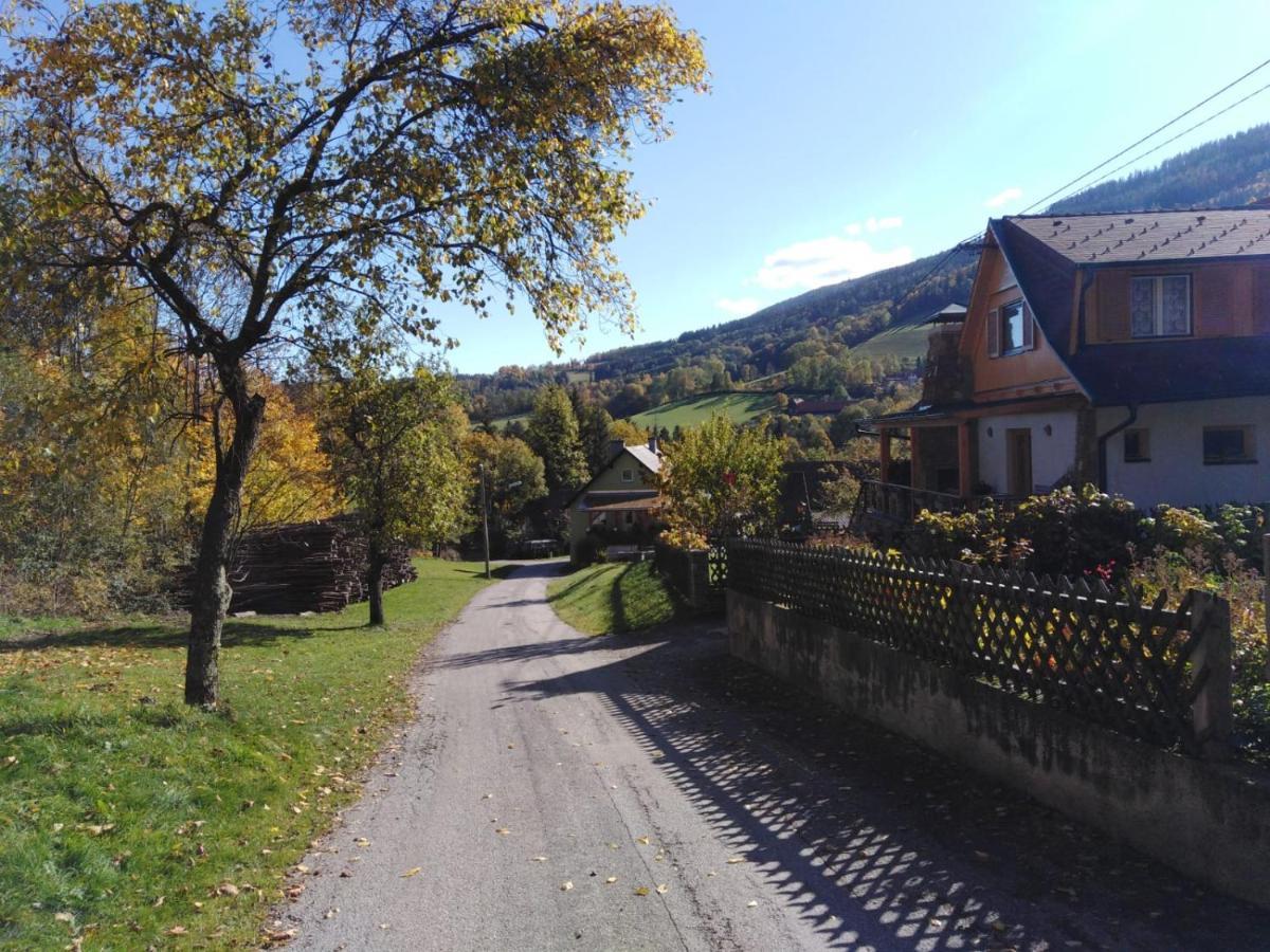 Ferienhaus Bauer Trattenbach  Eksteriør bilde