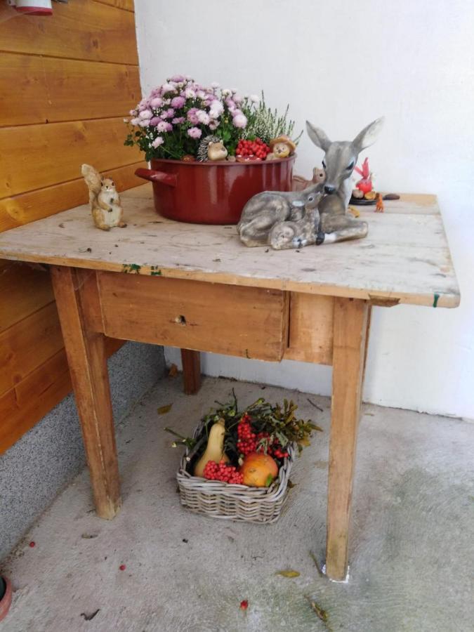 Ferienhaus Bauer Trattenbach  Eksteriør bilde